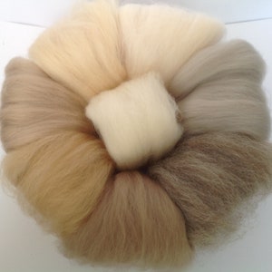 Pack of 8 Soft Browns, Felting wool, Needle felting, wool tops, Roving, sheep fibre,
