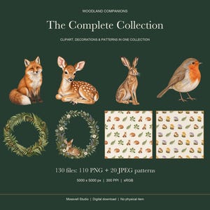 Waldtiere und Natur-Bundle, 130 Aquarelldateien, Fuchs, Reh, Hase, Vogel-PNG-Cliparts, Rahmen und nahtlose Muster