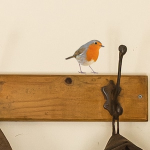 Country Range Robin Wall Decal Sticker Porch Hallway Entrance Bird