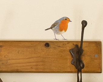 Country Range Robin Wall Decal Sticker Porch Hallway Entrance Bird