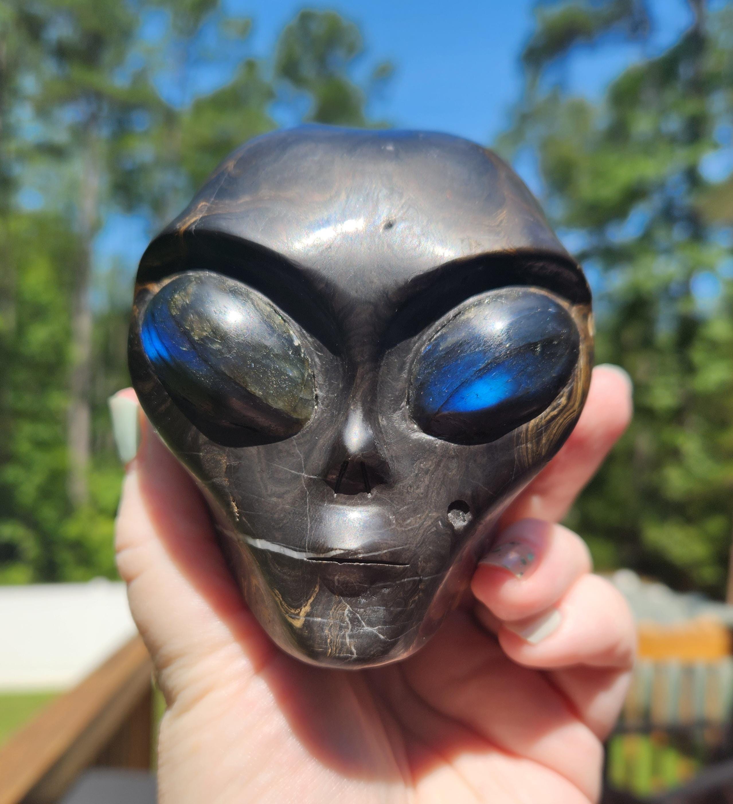Fossil Alien - Etsy