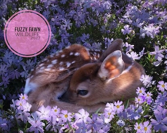 FUZZY FAWN CALENDAR 2027