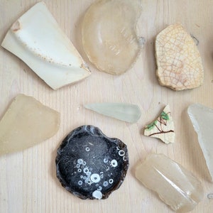 May include: Assortment of sea glass and pottery shards in various shapes, sizes, and colors, including white, clear, and black with white dots. The pieces are arranged on a light wood surface.
