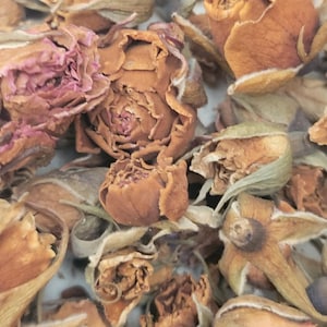 Air Dried Rose Buds, Tiny Rust Dried Roses, Dried Flowers, Natural Dried Flower, Mixed Group of Dried Rose Bud Heads, Dried Flower Art