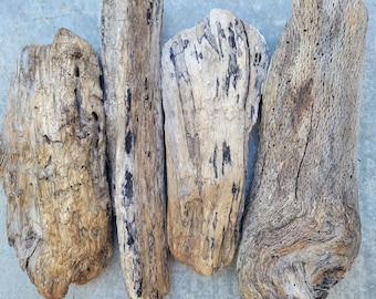 Natural Drift Wood Pieces, Chunky Log Drift Wood, Driftwood Crafts, Beach Decor, Terrarium Wood,  Air Plants Stand, Driftwood Chunks, Beach