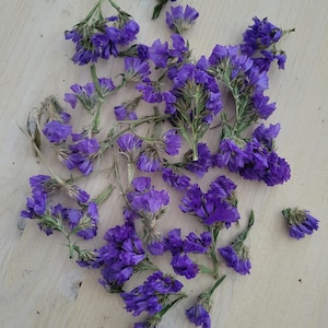 Purple Toned Statice Flowers, Air Dried Statice, Small Purple & Pink Buds, Dried Flowers for Resin  and Candle Making, Dried Floral Supply