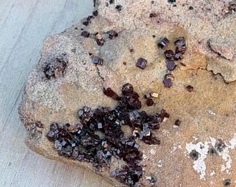 Andradite Garnet Crystal Cluster on Matrix, Red Dark Brown Black Specimen