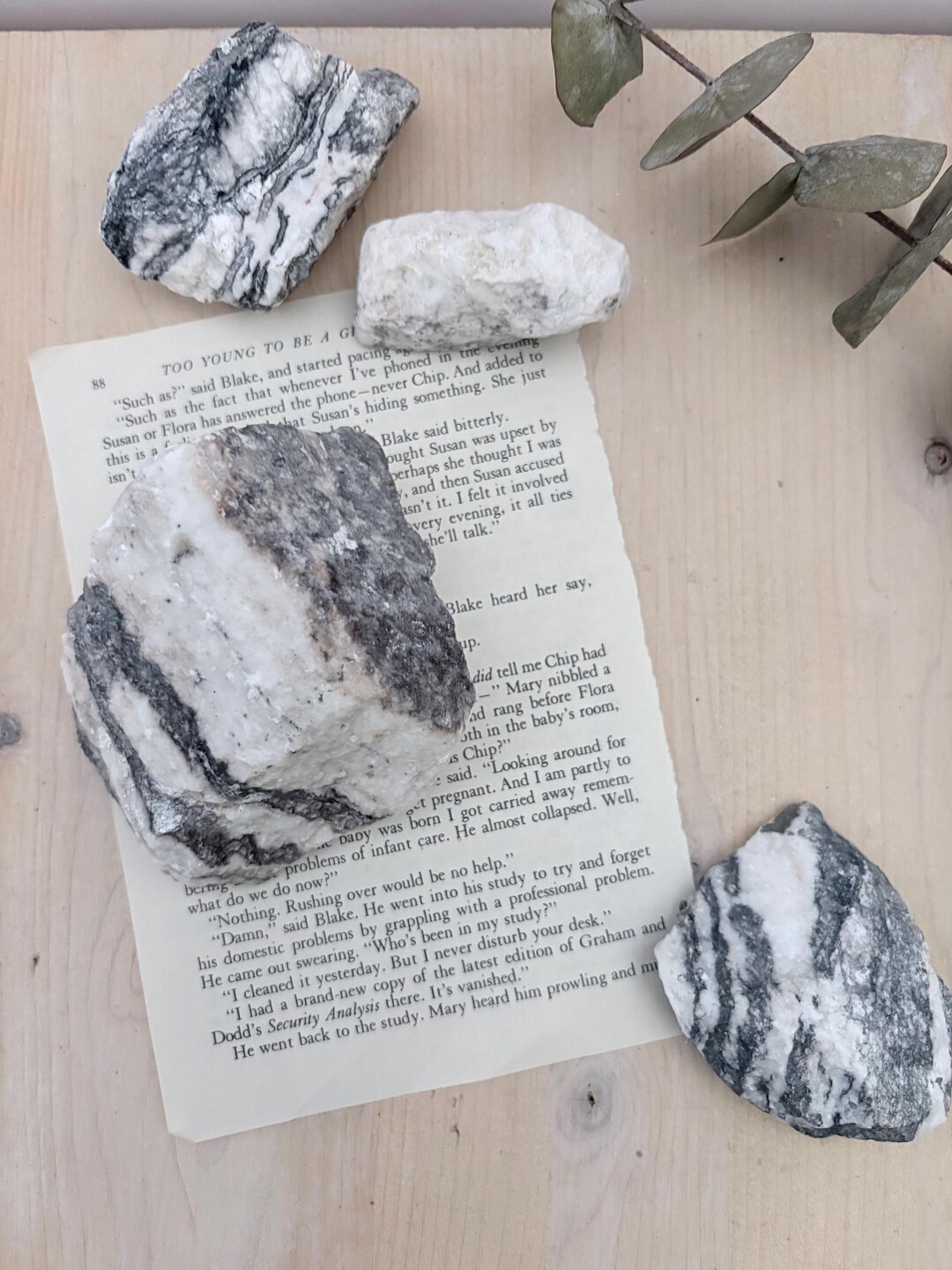 Black Stripped Gypsum Mineral Unpolished, Raw Gypsum, Black and White ...