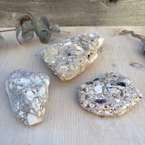 May include: Three pieces of sedimentary rock composed of compressed sand, small pebbles, and white shell fragments. The stones feature a rough, textured surface with a mix of beige, gray, and white tones, displaying natural geological formations.
