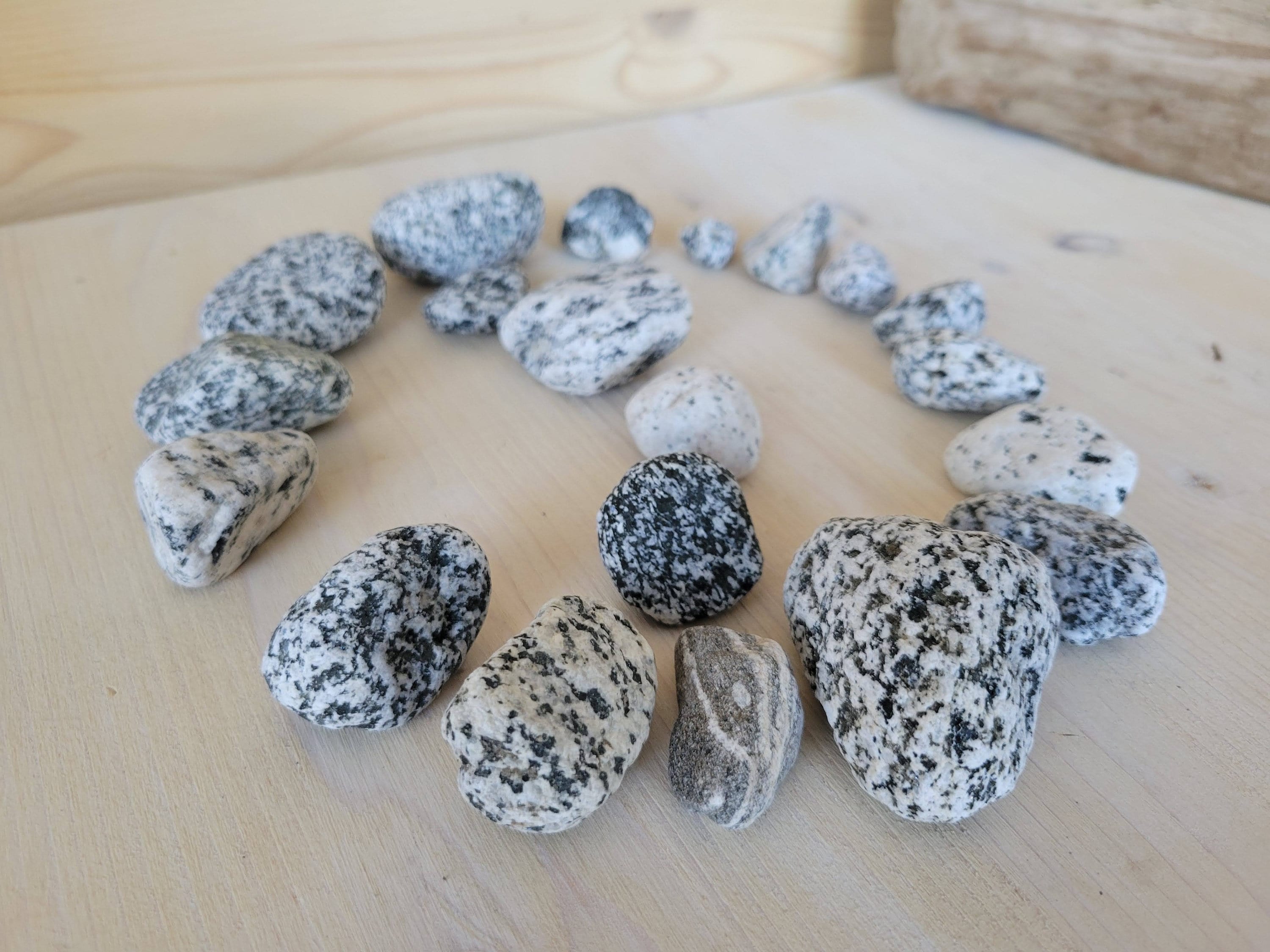 Black and White Speckled River Rocks California Rocks Dalmatian River Rocks Speckled Rocks Gray Black White Stones Lot of 6 Etsy