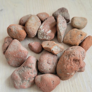 May include: A group of small, reddish-brown, irregularly shaped stones. The stones are arranged in a circle on a light wood surface.