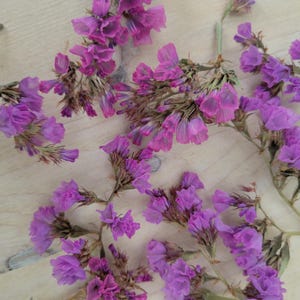 Fleurs violettes en statice, composition florale séchée à l'air, fabrication de résine et de bougies
