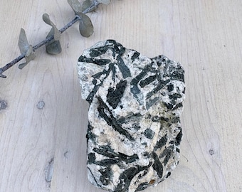 Hornblende Stone, Raw Mineral Specimen, Hornblende in Feldspar, Lapidary Rough, 1 lb