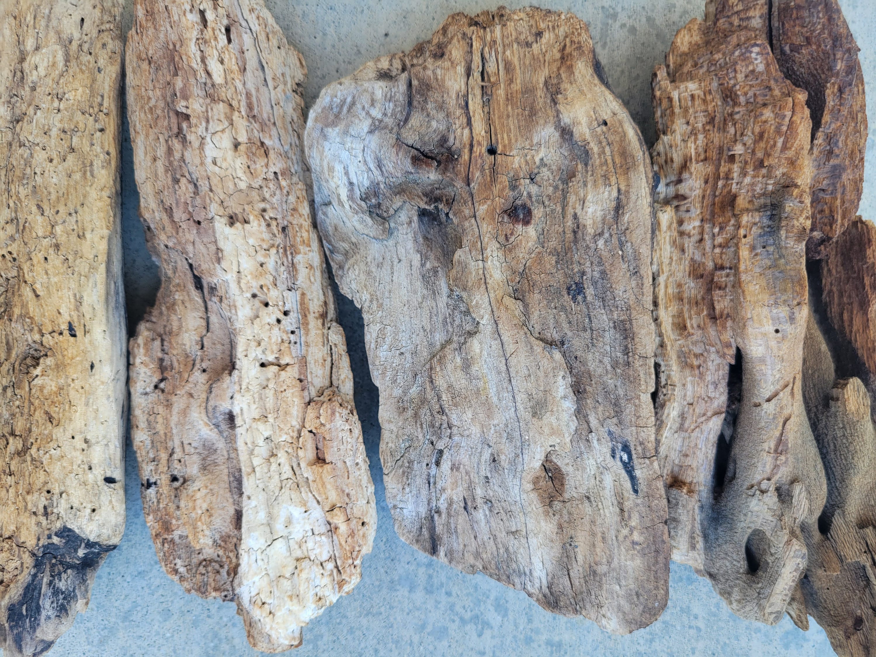 Natural Drift Wood Pieces, Chunky Log Drift Wood, Driftwood Crafts, Beach Decor, Terrarium Wood,  Air Plants Stand, Driftwood Chunks, Beach