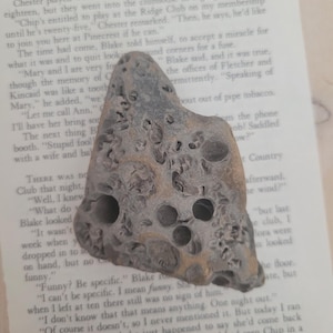 Könnte beinhalten: Ein poröser, graubrauner Stein mit mehreren Löchern, der auf einer Buchseite liegt. Die unregelmäßige Form und Textur des Steins sind deutlich sichtbar und stehen im Kontrast zum gedruckten Text des Buches. Die Seite hat den Text "TOO YOUNG TO BE A GRANDFATHER".