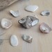 Beach Treasures, Unique Beach Finds Set 8, Reef Rocks, Sea Shells ...