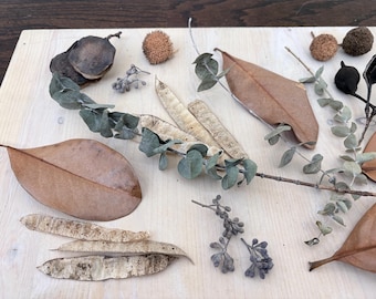 Dried Seeds Pods and Leaves, Fall Table Decor, Woodland Decor Mix, Dried Mix, Natural Seed Pods, Rustic Craft Supplies, Home Decor & Crafts