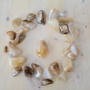 May include: A collection of tumbled citrine stones in various shades of yellow and brown, arranged in a circle on a light wood surface.