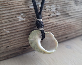 Shell Necklace, Sea Shell Pendant, Boho Beach Jewelry, Natural Shell Necklace, Green, Shell Pendant, Hippie Jewelry, Handmade, Beachy Style