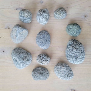 Dalmatian Ocean Rocks, Sea Rocks, Speckled Beach Rocks, Beach Stones, Gray & White Stones, California Coast Dalmatian Stones
