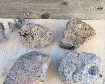 Naturlig pimpsten, vulkanisk bergart, exfolierande skrubb, trädgårdsdekor (ca 10x7,5x7,5 cm)