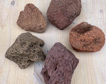 Natural Porous Lava Rock Lot, Volcanic Stone for Cactus and Succulents, 5 Count