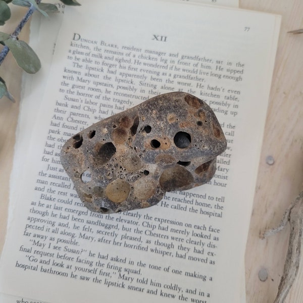 Natural Hag Stone Holey Rock, Stone Paper Weight, Large Hagstone, 6 oz, Holey Beach stone, Office Gift Decor, Rock Paper Weight, Holey Rock