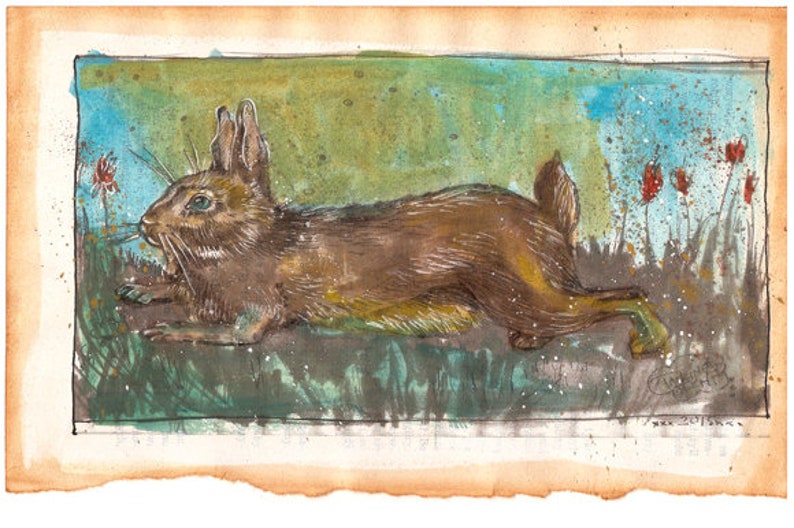 Bunny Illustration 300 dpi JPG.