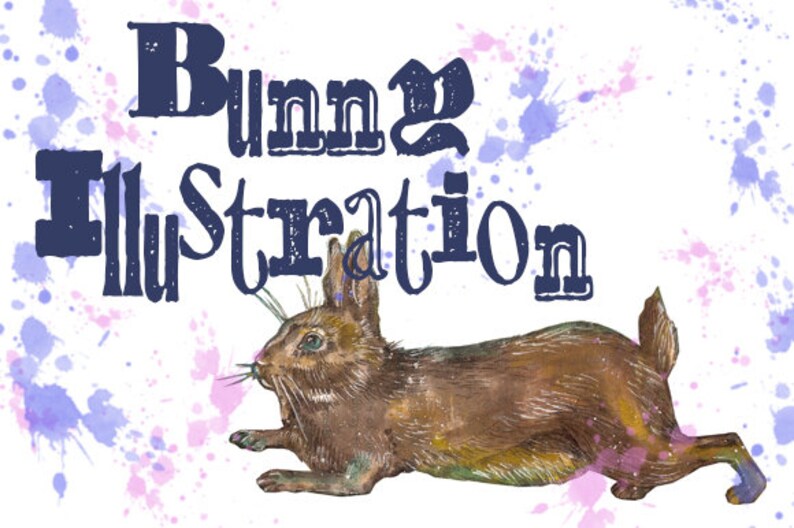 Bunny Illustration 300 dpi JPG.