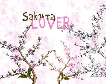 Sakura LOVER. Digital Illustrations.  Digistamp. Planer. Japanstyle.  Original. Photoshop. Handmade. Painting. Illustration. Kirchblüte.