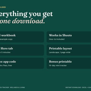May include: A dark green digital informational graphic titled Everything you get in one download. It lists features including an Excel workbook, Google Sheets compatibility, a Start Here tab, a printable layout, and bonus items like an app code and a 14-day mini tracker.