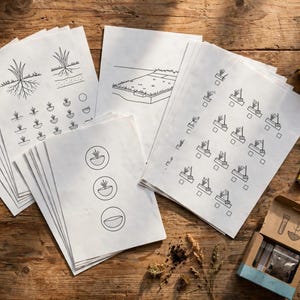 May include: A collection of white paper sheets featuring black line drawings of plant root systems, garden beds, and circular icons. A yellow measuring tape shows a length of 12 inches, alongside a cardboard box containing small vials and gardening gloves.