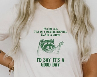 Not In Jail Not In A Mental Hospital Not in a Grave It's A Good Day Funny Raccoon Sarcastic Shirt Ultra Soft Graphic Tee Unisex Soft T-shirt