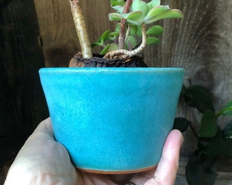 succulent planter handmade pottery, ceramic cactus planter, succulent blue planter, pottery wheel thrown indoor planter, stoneware planter