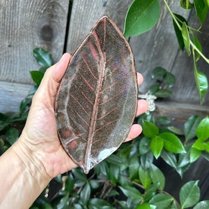 Può includere: Un piatto in ceramica a forma di foglia con una glassa marrone e rossa. Il piatto ha un motivo a nervature in rilievo e una finitura lucida.