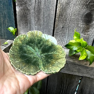 May include: A ceramic leaf-shaped coaster with a dark green and light green color scheme. The coaster has a detailed vein pattern and a textured surface. The edges are a lighter shade of green. The coaster is held in a hand.