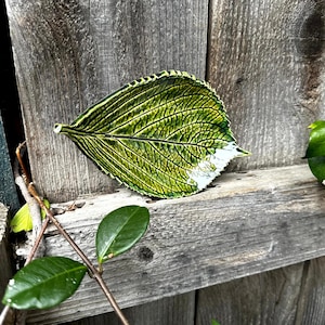 May include: A ceramic leaf-shaped dish with a detailed vein pattern. The dish is primarily green with darker green accents and a white edge. The leaf dish is resting on a weathered wooden surface.