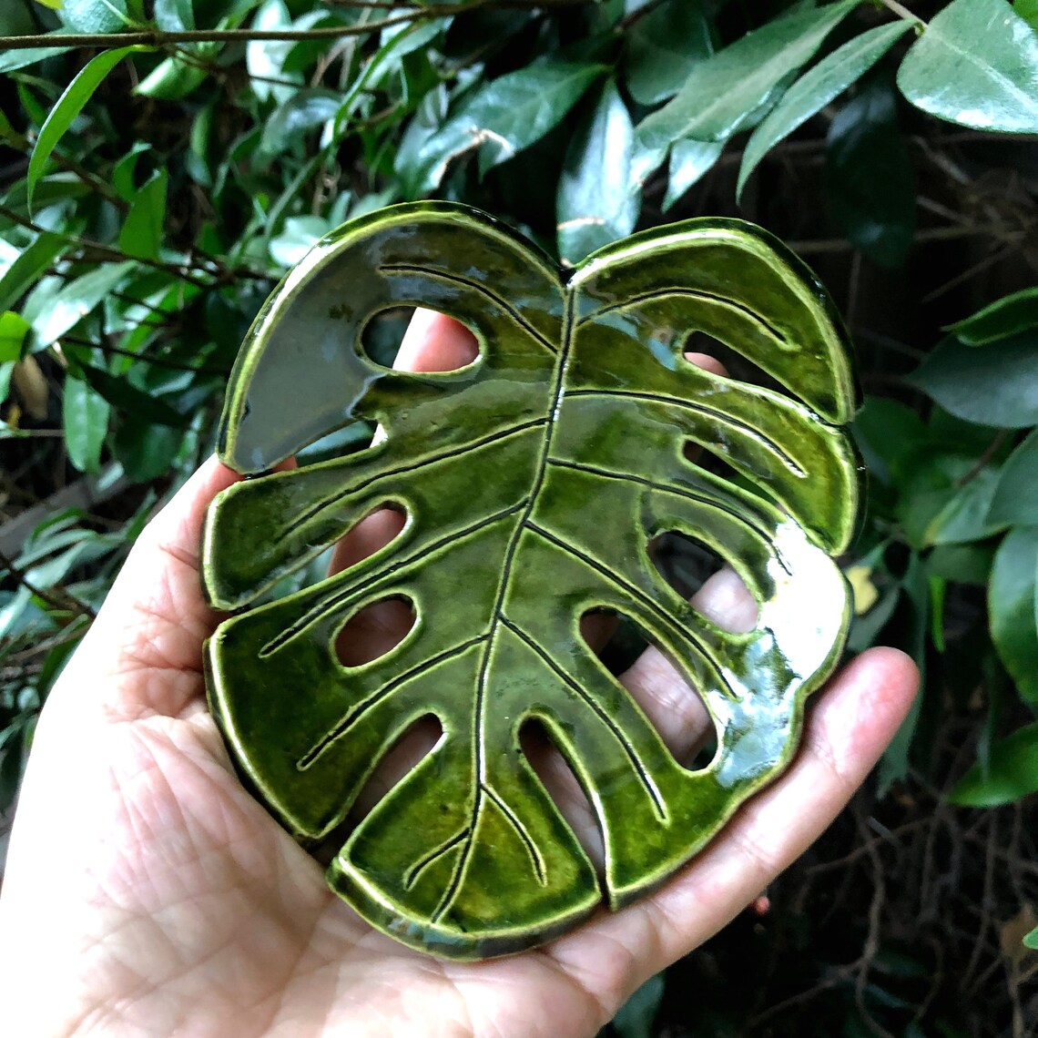 Monstera real leaf ceramic soap dish green philodendron real Etsy