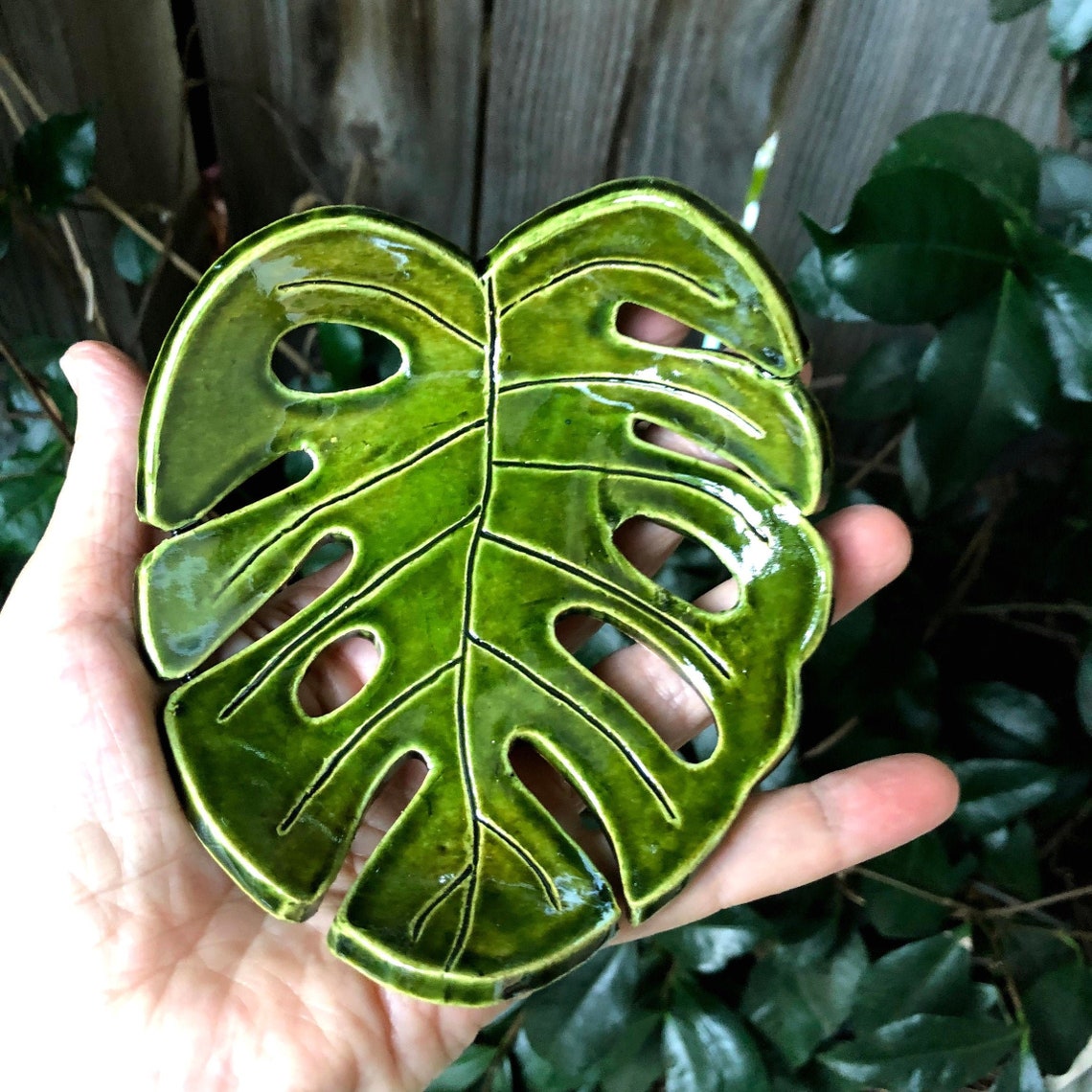 Monstera real leaf ceramic soap dish green philodendron real Etsy