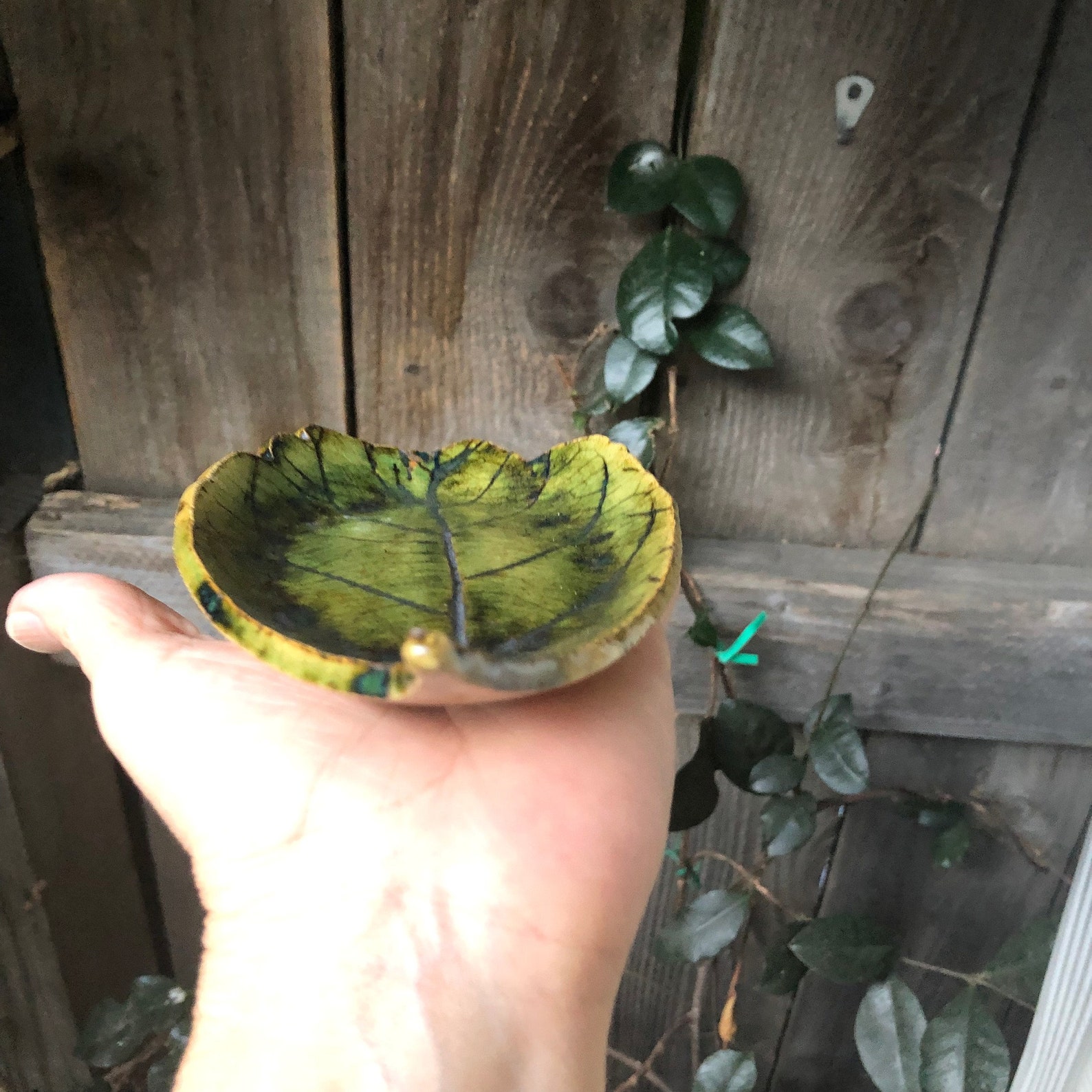 Avocado Leaf Dish Pottery Ceramic Handmade Green Leaf Soap Etsy