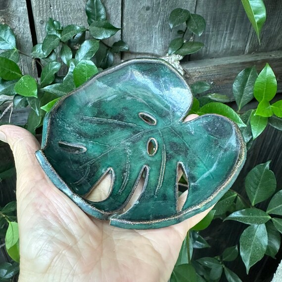 philodendron glad hands variegata Philodendron Glad Hands