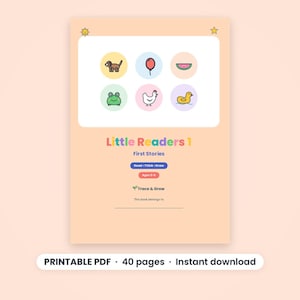 Decodable Stories with Comprehension Questions, Printable PDF