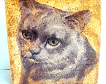 Tableau collages et acrylique joli chat gris et or 12 x 12 cm.