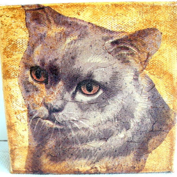 Tableau collages et acrylique joli chat gris et or 12 x 12 cm.