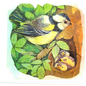 Carte postale collages et pastel et son enveloppe assortie nid d'oiseaux. image 2