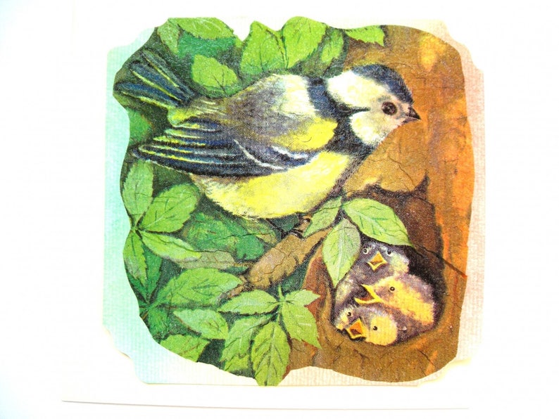Carte postale collages et pastel et son enveloppe assortie nid d'oiseaux. image 2