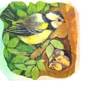 Carte postale collages et pastel et son enveloppe assortie nid d'oiseaux. image 1