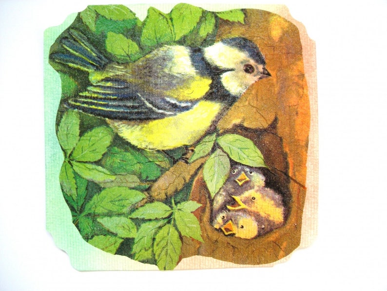 Carte postale collages et pastel et son enveloppe assortie nid d'oiseaux. image 1