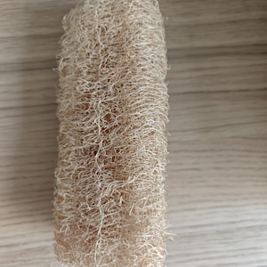 May include: A cylindrical loofah sponge featuring a natural, light beige fibrous texture. The surface is composed of a dense, interwoven network of plant-based fibres, creating a porous and rough appearance throughout the entire body.