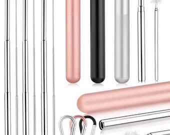 3 Pcs Set Collapsible straw with Carabiner and Cleaning Brush / Telescopic Straw / Reusable Steel Straw